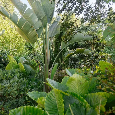 Aritis 3 Aparthotel Anemomylos